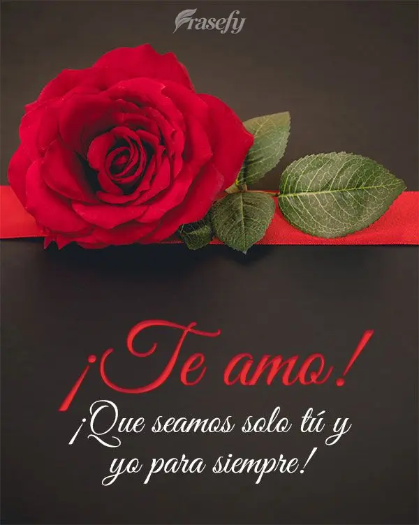 ¡Que seamos solo tú y yo para siempre! ¡Te amo!