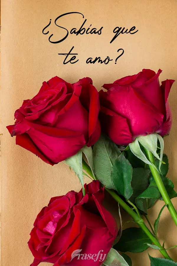 ¿Sabías que te amo?