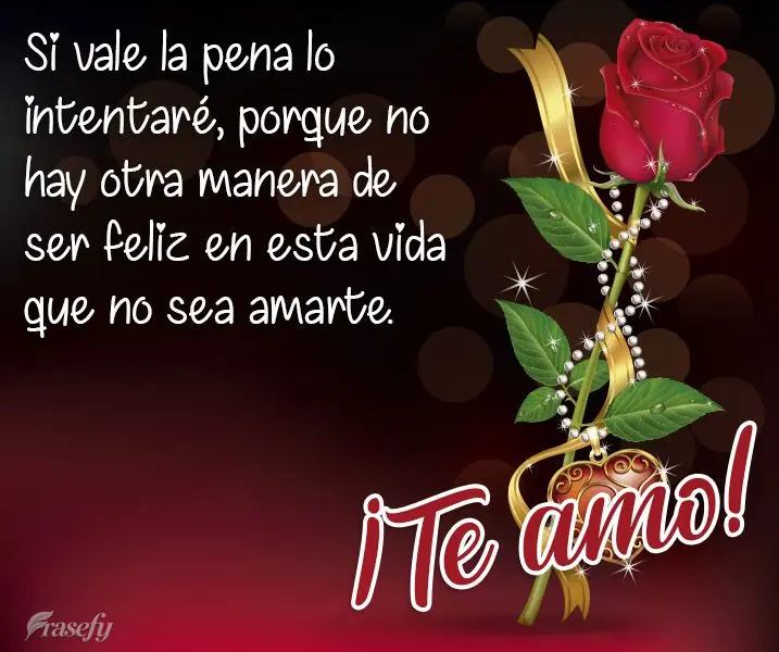 Si vale la pena lo intentaré, porque no hay otra manera de ser feliz en esta vida que no sea amarte. ¡Te amo!