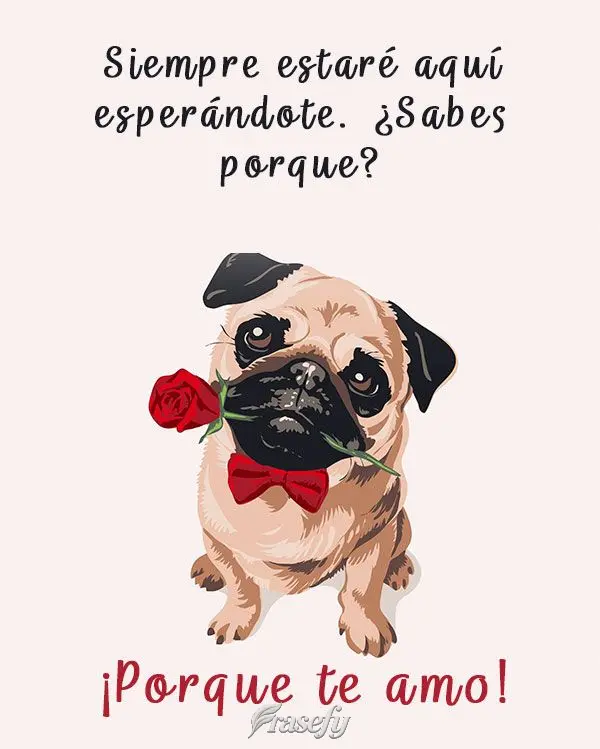Siempre estaré aquí esperándote. ¿Sabes porque? ¡Porque te amo!