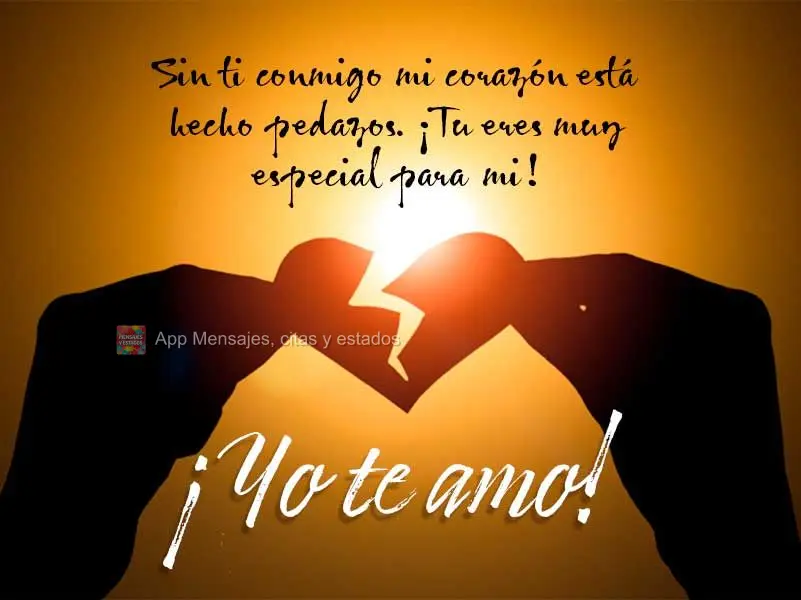 Sin ti conmigo mi corazón está hecho pedazos. ¡Tu eres muy especial para mi! ¡Yo te amo!