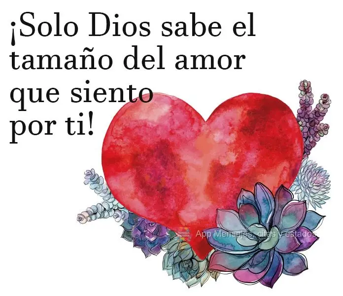 ¡Solo Dios sabe el tamaño del amor que siento por ti!