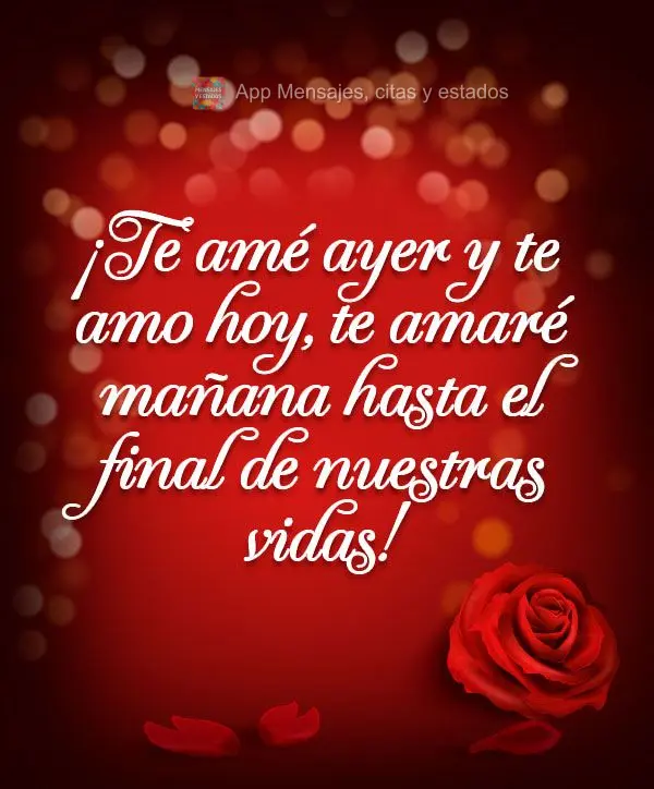 ¡Te amé ayer y te amo hoy, te amaré mañana hasta el final de nuestras vidas!