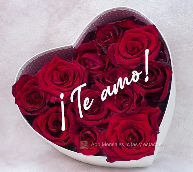 ¡Te amo!