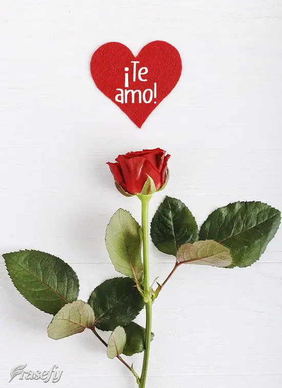 ¡Te amo!