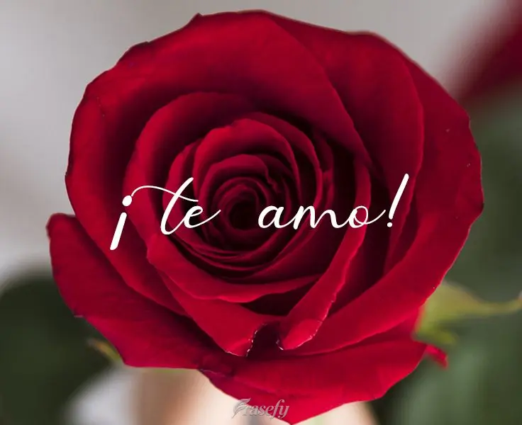 ¡Te amo!