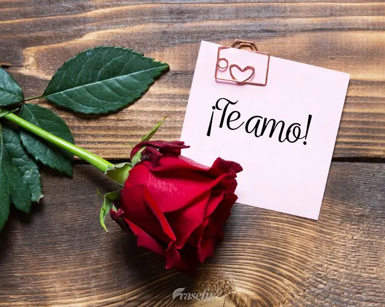 ¡Te amo!