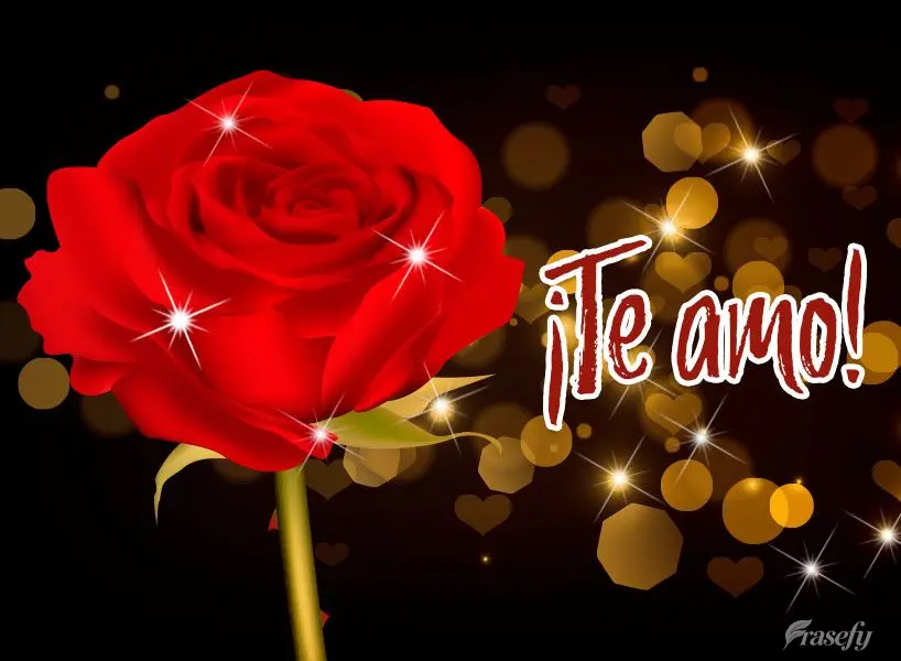 ¡Te amo!