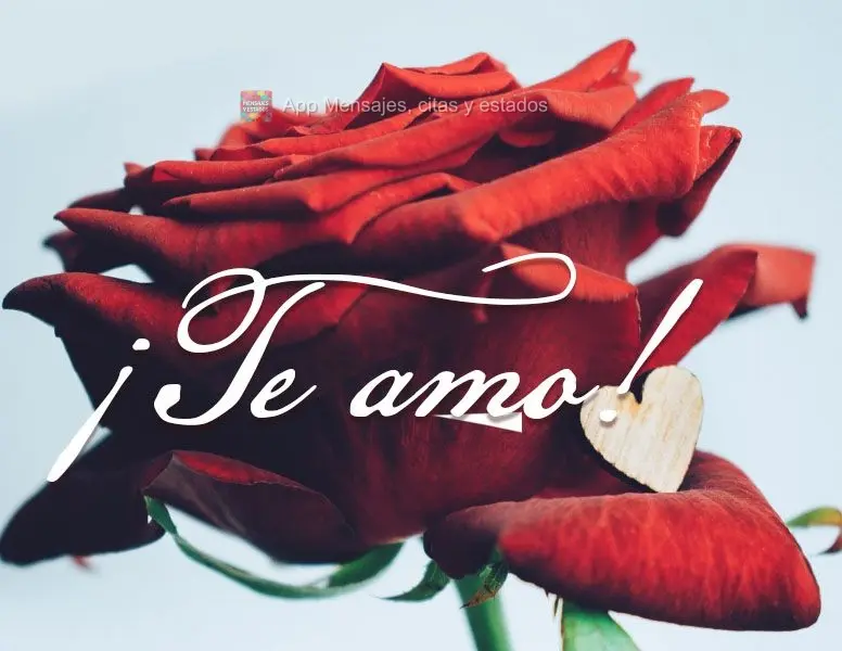¡Te amo!