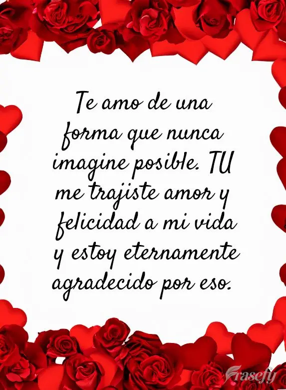 Te amo de una forma que nunca imagine posible. TU me trajiste amor y felicidad a mi vida y estoy eternamente agradecido por eso.