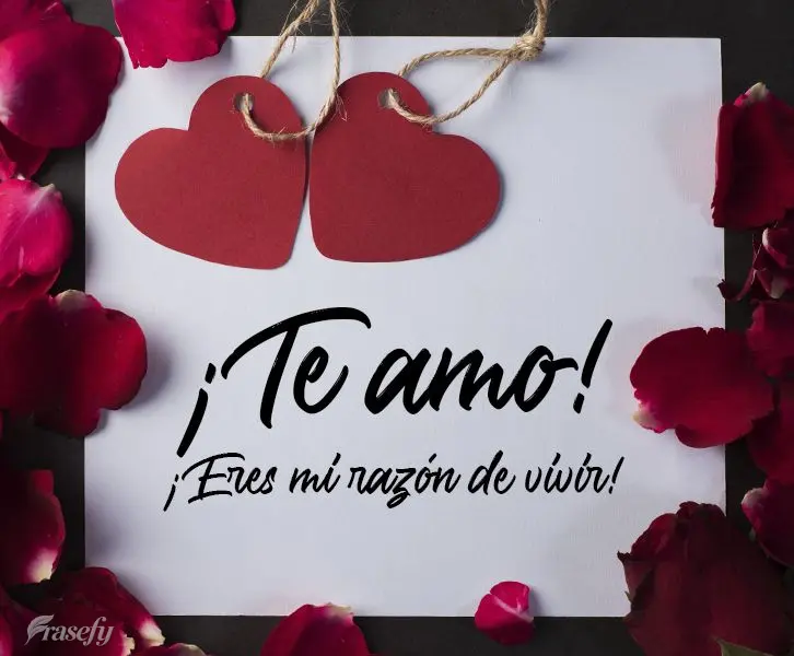 ¡Te amo! ¡Eres mi razón de vivir!