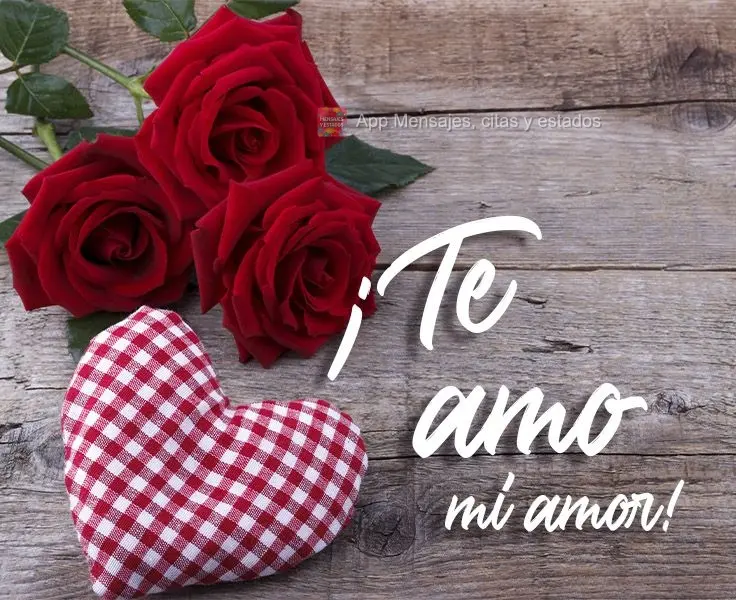 ¡Te amo mi amor!