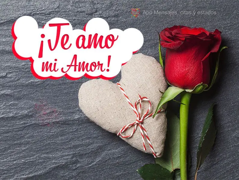 ¡Te amo mi amor!