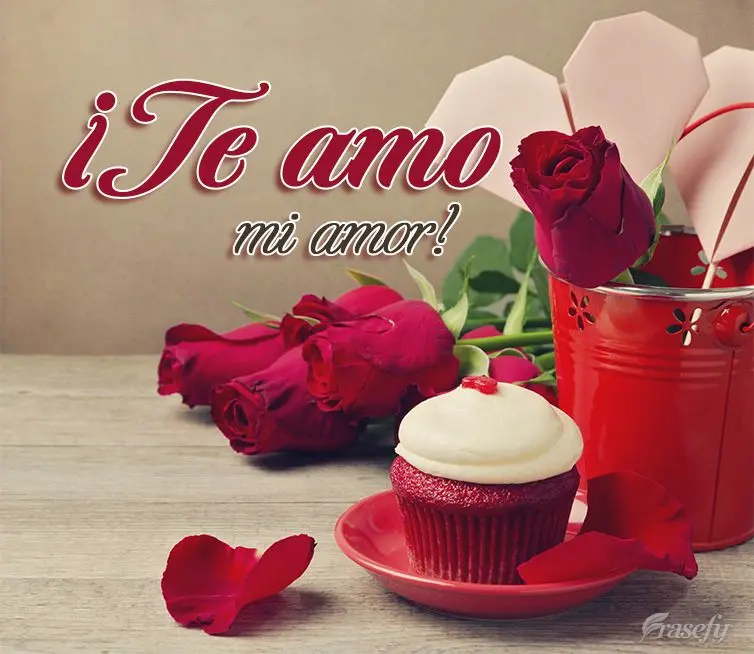 ¡Te amo mi amor!