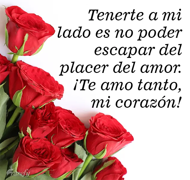Tenerte a mi lado es no poder escapar del placer del amor. ¡Te amo tanto, mi corazón!