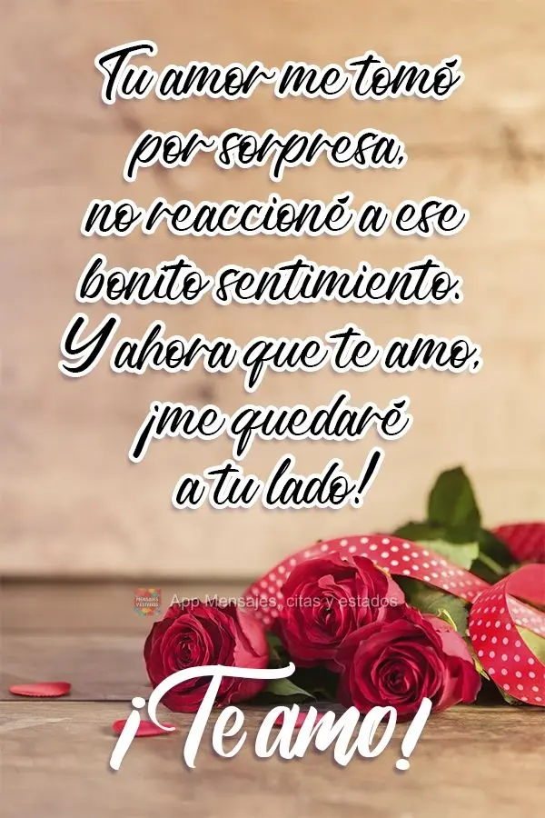 Tu amor me tomó por sorpresa, no reaccioné a ese bonito sentimiento. Y ahora que te amo, ¡me quedaré a tu lado! ¡Te amo!