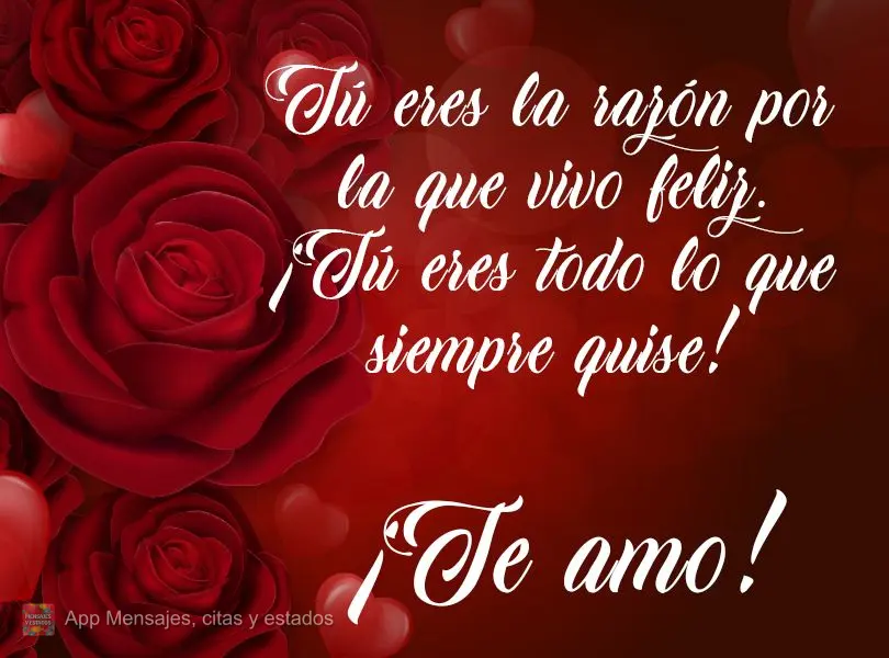 Tú eres la razón por la que vivo feliz. ¡Tú eres todo lo que siempre quise! ¡Te amo!