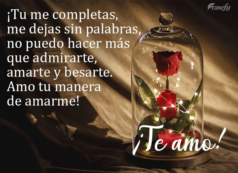 ¡Tu me completas, me dejas sin palabras, no puedo hacer más que admirarte, amarte y besarte. Amo tu manera de amarme! ¡Te amo!