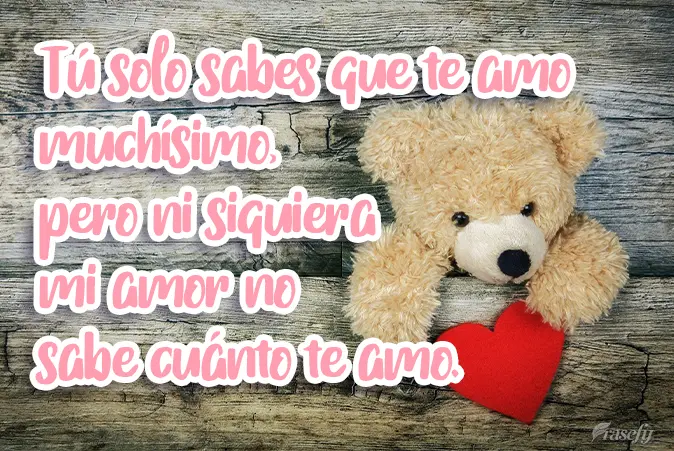 Tú solo sabes que te amo muchísimo, pero ni siquiera mi amor sabe cuánto te amo.